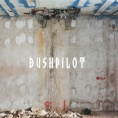 Bushpilot - Jesus Loves That Rock N Roll