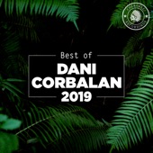 Best of Dani Corbalan 2019 artwork