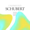Unfinished Schubert - EP album lyrics, reviews, download