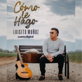 Cómo Le Hago artwork