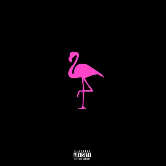 Cover artwork for Flamingo