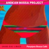 Andean Bossa Project
