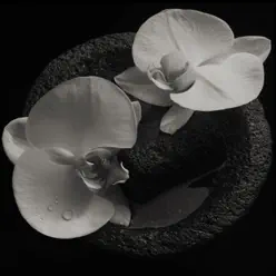 Corpse Flower - Mike Patton Corpse Flower - Mike Patton