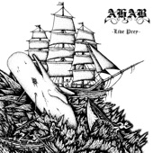 Ahab - the hunt