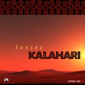 Kalahari (Steve Self Remix) artwork