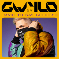 Came To Say Goodbye-GWYLO