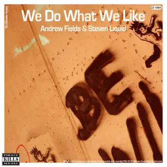 We Do What We Like - EP by Andrew Fields & Steven Liquid album reviews, ratings, credits