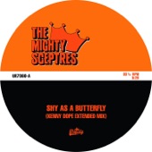 Shy as a Butterfly (Kenny Dope Extended Mix) artwork
