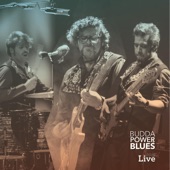 Virtual Blues (Live) artwork