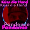 Küss die Hand, Pandemie - Single