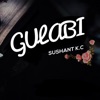 Gulabi - Single, 2019