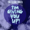 I'm Giving You Up! - Single