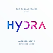 Altered State Extended Mixes artwork
