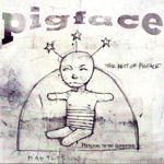 The Best of Pigface