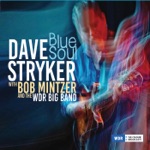 Dave Stryker - Trouble Man (feat. Bob Mintzer & WDR Big Band)