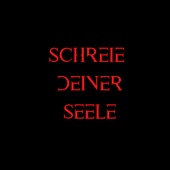 Schreie deiner Seele (Pastiche/Remix/Mashup) artwork
