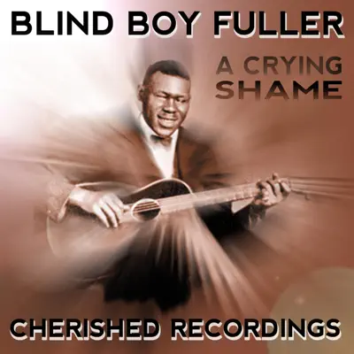 A Crying Shame - Blind Boy Fuller