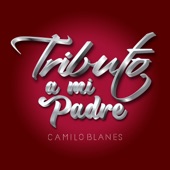 Tributo A Mi Padre (Medley) artwork