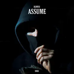 Assume - Single by Rumyii album reviews, ratings, credits