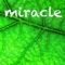 Miracle (feat. Chantal Kreviazuk) - Chris Burke-Gaffney lyrics