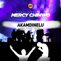 Mercy Chinwo - Akamdinelu artwork