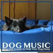 Dog Music: Peaceful Sounds to Help Your Dog Sleep artwork