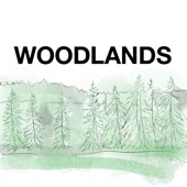 Woodlands artwork