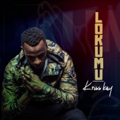 Lokumu artwork