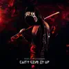 Can't Give It Up (feat. Highdiwaan) - Single album lyrics, reviews, download