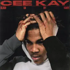 Blood On My Hands by Cee Kay album reviews, ratings, credits