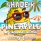 Pineapple - Shade K lyrics