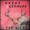 Run Wild (feat. Tej) - Single album lyrics, reviews, download