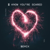 I Know You're Scared (Remix) [feat. Scallywag van Rooyen] [Remix] artwork