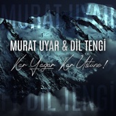 Kar Yağar Kar Üstüne artwork