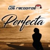 Perfecta by Banda Los Recoditos iTunes Track 1