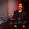 Luke Bryan - What She Wants Tonight artwork