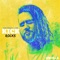 Kick Rocks (feat. J. Crum) - Deane Walden & Rapzilla lyrics