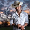 Que Pasaria - Single