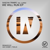 We Will Run (feat. JustMeli) [Teklix Remix] artwork
