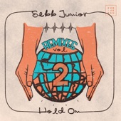 Sebb Junior - Come Back (Original Mix)