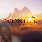 Wonder Abejoye artwork