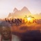 Wonder Abejoye artwork