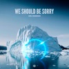 We Should Be Sorry - Single