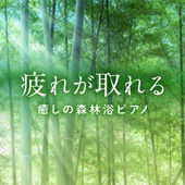 疲れが取れる 〜癒しの森林浴ピアノ〜 artwork