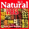 Natural Vibes, Vol. 3