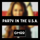 Party in the USA artwork