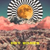 Dry Bones - Single