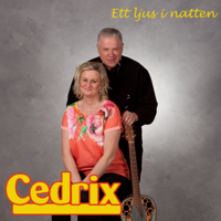 ℗ 2020 Cedrix