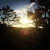 GypsyWaves - To Hear What You See Taste What Feel