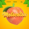 Melocoton - Single